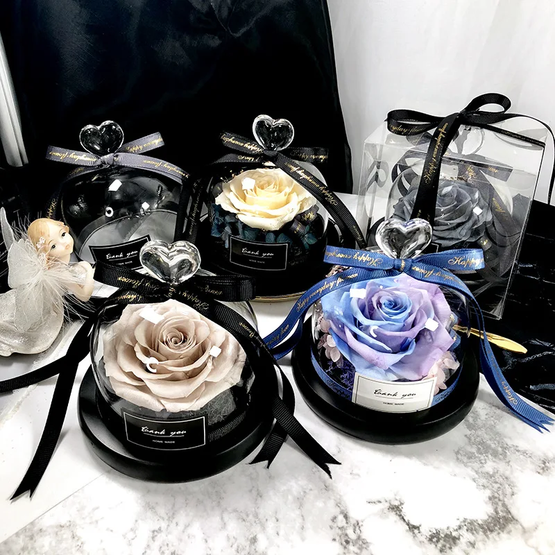 Decor Timeless Lighting - Người Đẹp Và Quái Thú Tiết