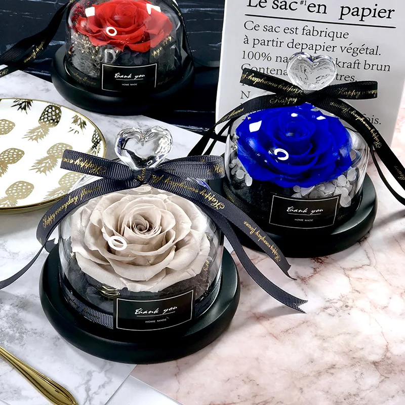 Người Đẹp Và Quái Thú Tiết Kiệ - đánh giá và giá Decor Timeless Lighting